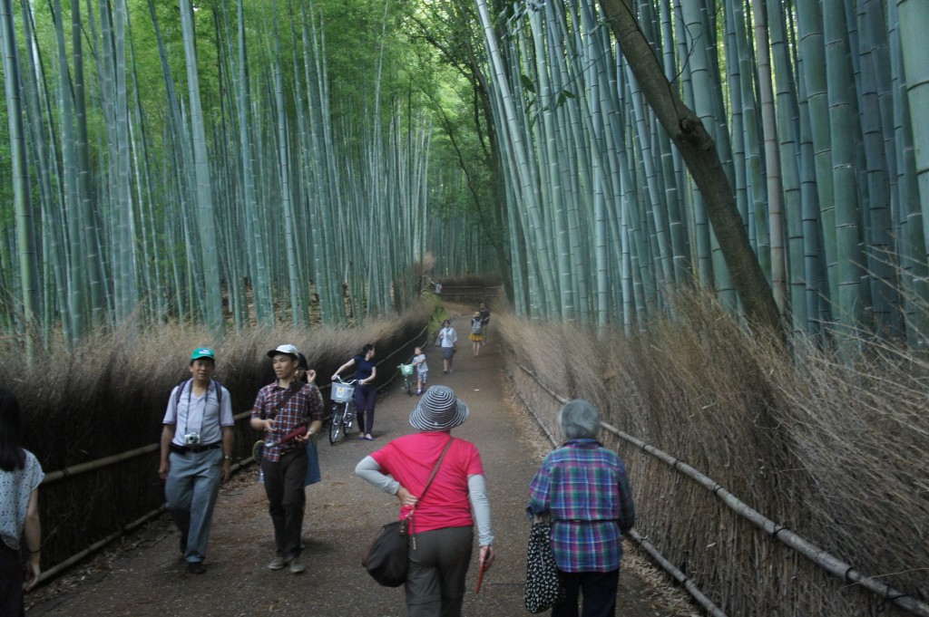Kioto, Bambuswald